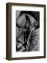 Image of the Head of the Outer Coffin of Tutankhamen, Ancient Egyptian Pharaoh-null-Framed Photographic Print