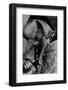 Image of the Head of the Outer Coffin of Tutankhamen, Ancient Egyptian Pharaoh-null-Framed Photographic Print