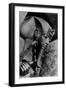 Image of the Head of the Outer Coffin of Tutankhamen, Ancient Egyptian Pharaoh-null-Framed Photographic Print