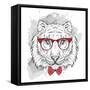 Image Portrait Tiger in the Cravat and with Glasses. Hand Draw Vector Illustration.-Sunny Whale-Framed Stretched Canvas