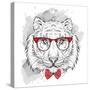 Image Portrait Tiger in the Cravat and with Glasses. Hand Draw Vector Illustration.-Sunny Whale-Stretched Canvas