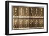 Image Sequence of a Man with a Hat Walking, 'Animal Locomotion' Series, C.1887-Eadweard Muybridge-Framed Giclee Print