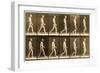 Image Sequence of a Nude Man Walking, 'Animal Locomotion' Series, C.1881-Eadweard Muybridge-Framed Giclee Print