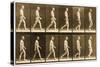 Image Sequence of a Nude Man Walking, 'Animal Locomotion' Series, C.1881-Eadweard Muybridge-Stretched Canvas