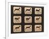 Image Sequence of a Running Deer, 'Animal Locomotion' Series, C.1881-Eadweard Muybridge-Framed Giclee Print