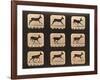 Image Sequence of a Running Deer, 'Animal Locomotion' Series, C.1881-Eadweard Muybridge-Framed Giclee Print