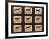 Image Sequence of a Running Deer, 'Animal Locomotion' Series, C.1881-Eadweard Muybridge-Framed Giclee Print