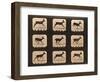 Image Sequence of a Running Deer, 'Animal Locomotion' Series, C.1881-Eadweard Muybridge-Framed Giclee Print