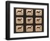 Image Sequence of a Running Deer, 'Animal Locomotion' Series, C.1881-Eadweard Muybridge-Framed Giclee Print