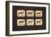 Image Sequence of a Trotting Deer, 'Animal Locomotion' Series, C.1881-Eadweard Muybridge-Framed Giclee Print