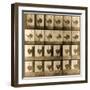 Image Sequence of an Ostrich Running, 'Animal Locomotion' Series, C.1887-Eadweard Muybridge-Framed Giclee Print