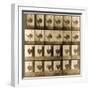 Image Sequence of an Ostrich Running, 'Animal Locomotion' Series, C.1887-Eadweard Muybridge-Framed Giclee Print