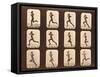 Image Sequence of Athletes. Running, 'Animal Locomotion' Series, C.1881-Eadweard Muybridge-Framed Stretched Canvas