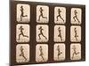 Image Sequence of Athletes. Running, 'Animal Locomotion' Series, C.1881-Eadweard Muybridge-Mounted Giclee Print