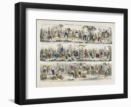 Imagerie nouvelle. Les vendanges-null-Framed Premium Giclee Print