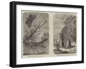 Images from the Universe-null-Framed Giclee Print