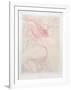 Images IV-Guillaume Azoulay-Framed Collectable Print