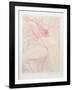 Images IV-Guillaume Azoulay-Framed Collectable Print