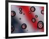 Images of Old Glory-null-Framed Photographic Print