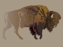 Buffalo. Hand-Drawn Illustration, Detailed Variant.-imagewriter-Art Print