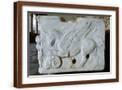 Brown Frame