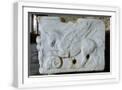 White Frame