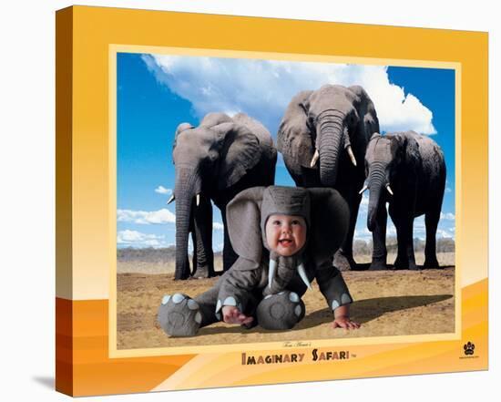Imaginary Safari, Elephant-Tom Arma-Stretched Canvas