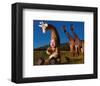 Imaginary Safari, Giraffe-Tom Arma-Framed Art Print