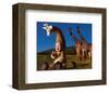 Imaginary Safari, Giraffe-Tom Arma-Framed Art Print