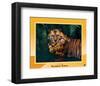 Imaginary Safari, Tiger-Tom Arma-Framed Art Print