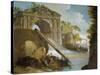 Imaginary View: River with Fishermen and Ruins-Giuseppe Bernardino Bison-Stretched Canvas