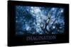 Imagination (French Translation)-null-Stretched Canvas