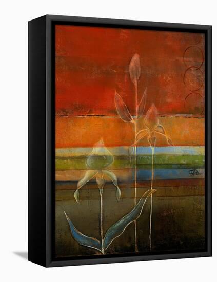 Imagination I-Patricia Pinto-Framed Stretched Canvas