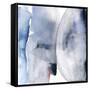 Imaginations Power-Michelle Oppenheimer-Framed Stretched Canvas