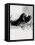 Canvas Black