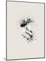 Wood Mount