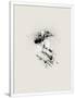 Gramercy White