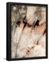 Essential Black