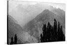 Stretched Canvas