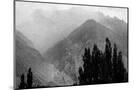Wood Mount