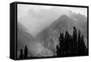 Canvas Black