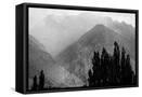 Canvas Black