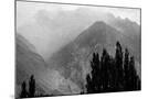 Wood Mount
