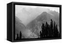 Canvas Black