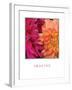 Imagine Flowers-Maureen Love-Framed Photographic Print