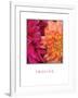 Imagine Flowers-Maureen Love-Framed Photographic Print