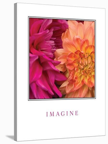 Imagine Flowers-Maureen Love-Stretched Canvas