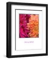 Imagine Flowers-Maureen Love-Framed Photographic Print