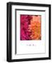 Imagine Flowers-Maureen Love-Framed Photographic Print