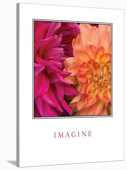 Imagine Flowers-Maureen Love-Stretched Canvas